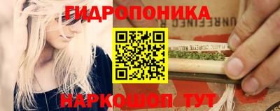 PSILOCYBIN Краснознаменск