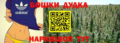 прущие грибы Краснодар