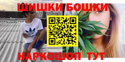 прущие грибы Краснодар