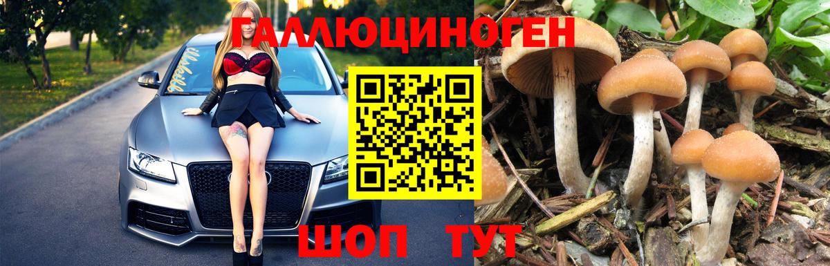 Дмитров  Галлюциногенные грибы Psilocybe  Вход с VPN 