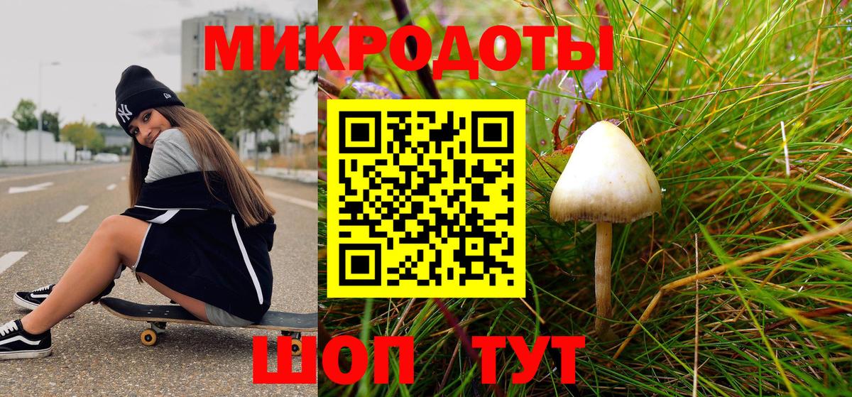 Галлюциногенные грибы мицелий Дмитров